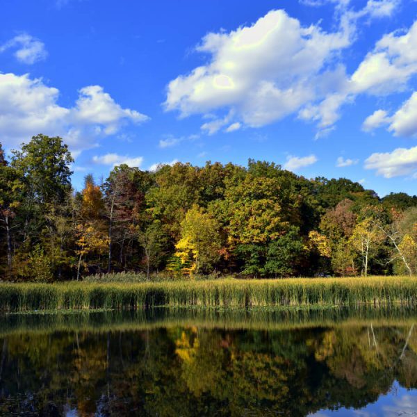 Cleveland Metroparks